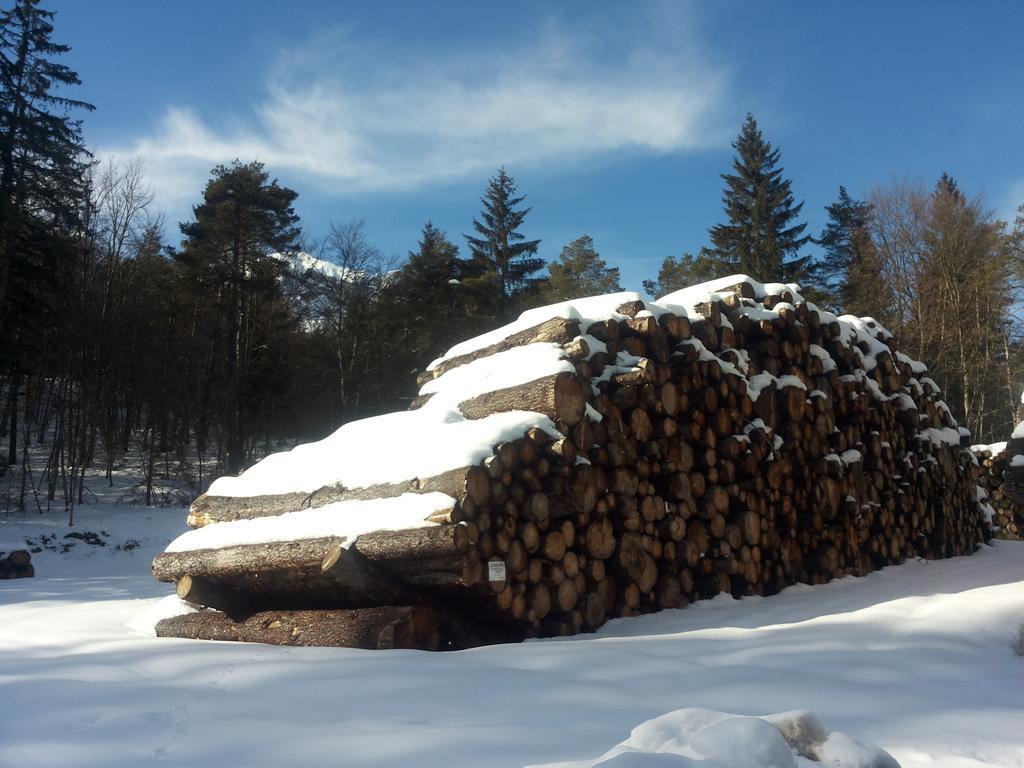 Appartamenti La Val Andalo Kültér fotó