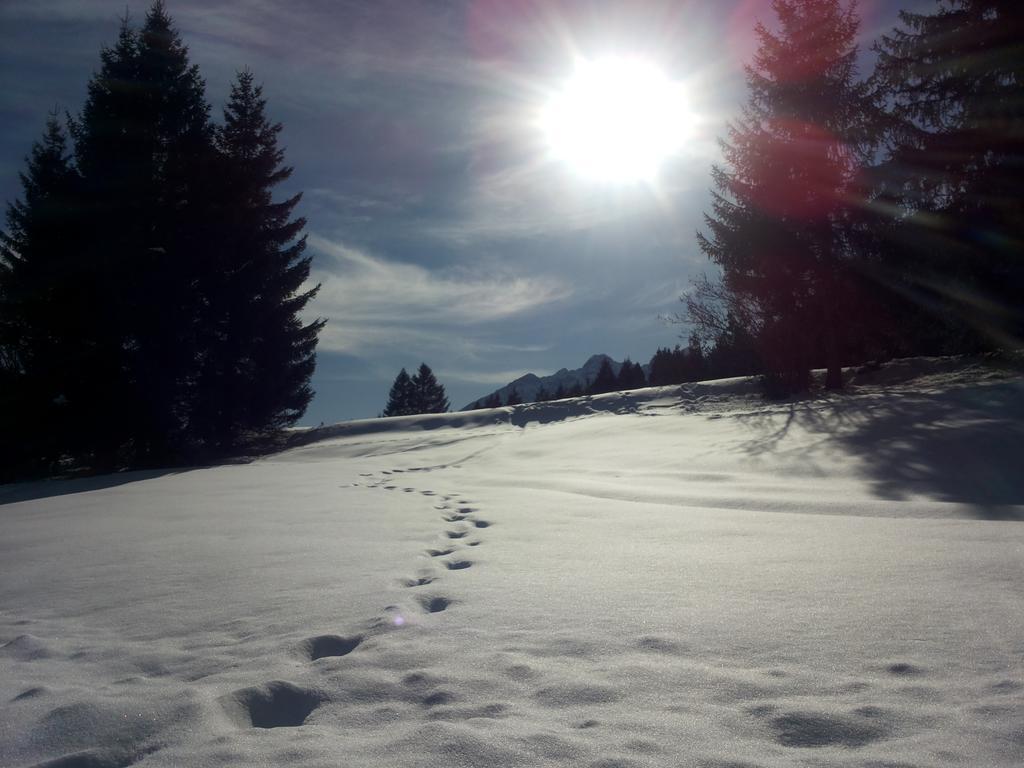 Appartamenti La Val Andalo Kültér fotó