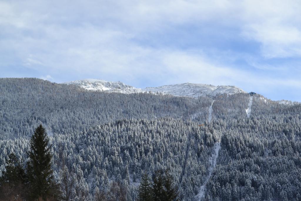 Appartamenti La Val Andalo Kültér fotó